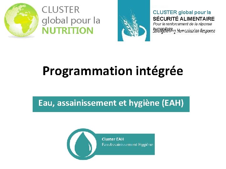 CLUSTER global pour la NUTRITION CLUSTER global pour la SÉCURITÉ ALIMENTAIRE Pour le renforcement