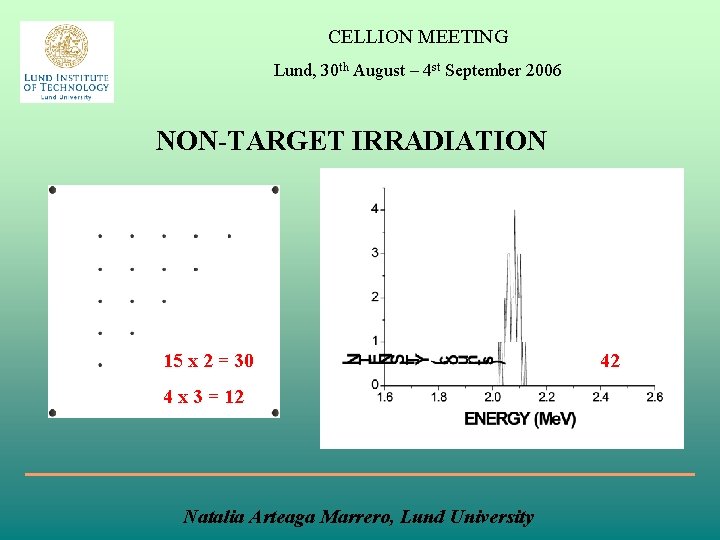 CELLION MEETING Lund, 30 th August – 4 st September 2006 NON-TARGET IRRADIATION 15