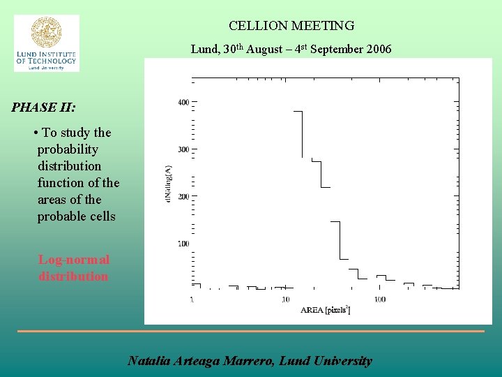 CELLION MEETING Lund, 30 th August – 4 st September 2006 PHASE II: •