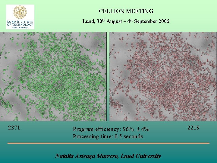 CELLION MEETING Lund, 30 th August – 4 st September 2006 2371 Program efficiency: