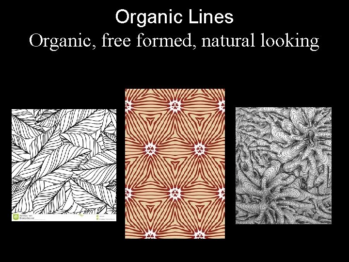 Organic Lines Organic, free formed, natural looking lines – They are derived from nature