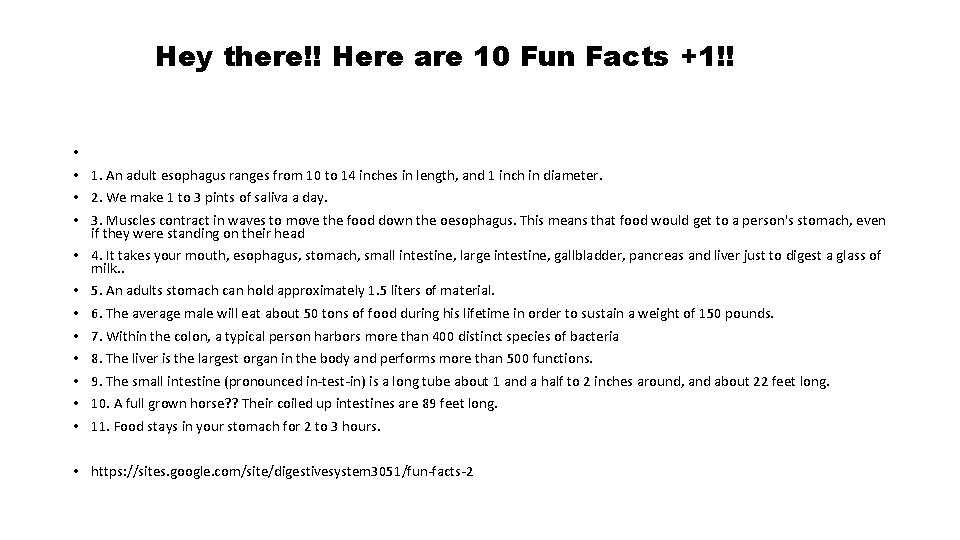 Hey there!! Here are 10 Fun Facts +1!! • • 1. An adult esophagus