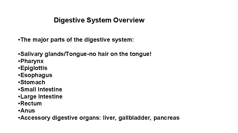 Digestive System Overview • The major parts of the digestive system: • Salivary glands/Tongue-no