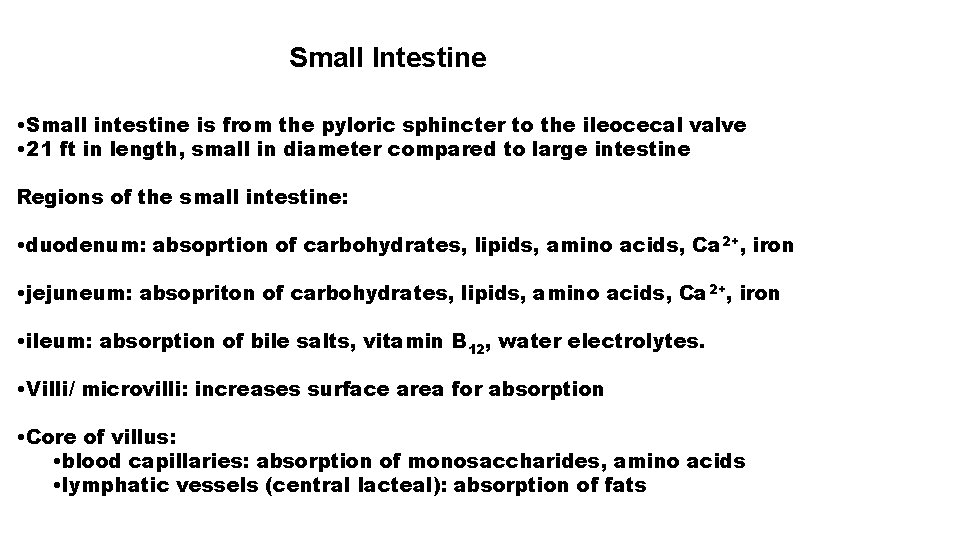 Small Intestine • Small intestine is from the pyloric sphincter to the ileocecal valve