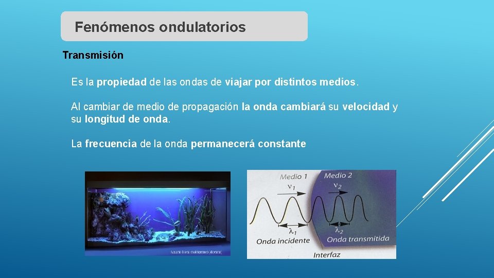 Fenómenos ondulatorios Transmisión Es la propiedad de las ondas de viajar por distintos medios.