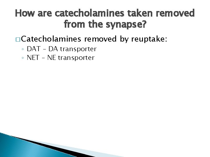 How are catecholamines taken removed from the synapse? � Catecholamines removed by reuptake: ◦