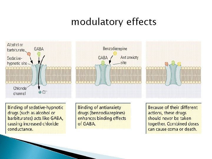 modulatory effects 