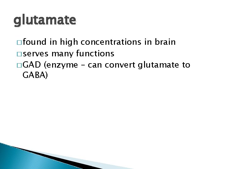 glutamate � found in high concentrations in brain � serves many functions � GAD