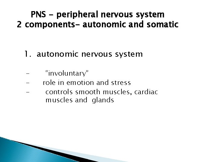PNS - peripheral nervous system 2 components- autonomic and somatic 1. autonomic nervous system