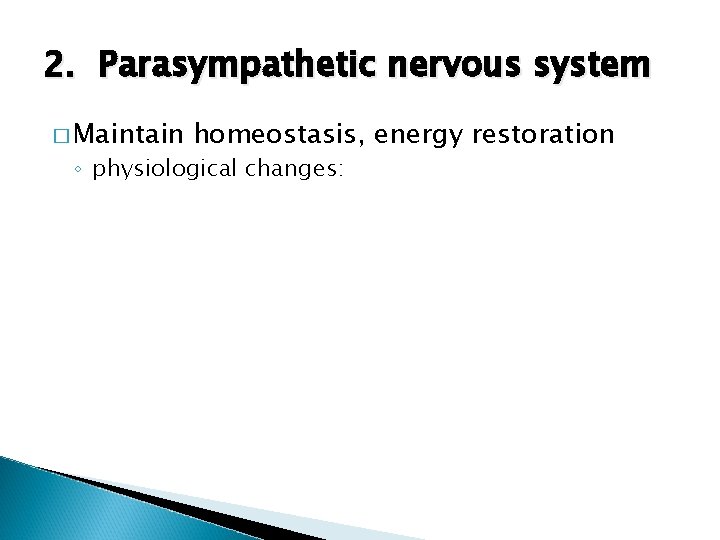 2. Parasympathetic nervous system � Maintain homeostasis, energy restoration ◦ physiological changes: 
