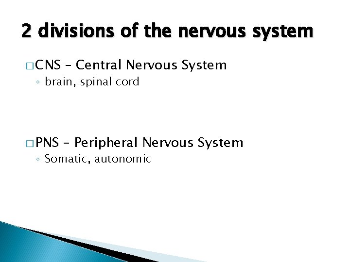 2 divisions of the nervous system � CNS – Central Nervous System � PNS