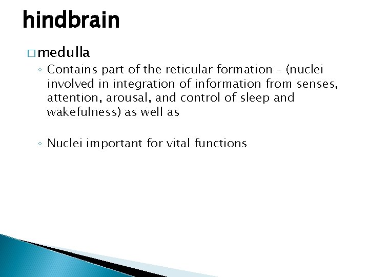 hindbrain � medulla ◦ Contains part of the reticular formation – (nuclei involved in