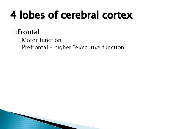 4 lobes of cerebral cortex � Frontal ◦ Motor function ◦ Prefrontal – higher