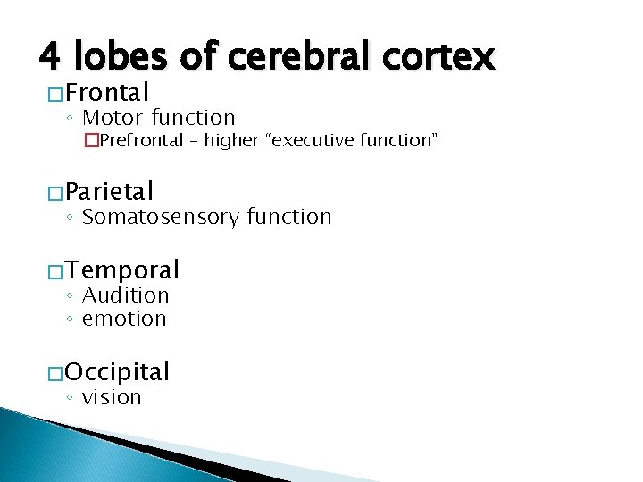 4 lobes of cerebral cortex �Frontal ◦ Motor function �Prefrontal – higher “executive function”