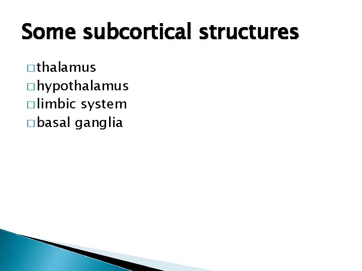 Some subcortical structures � thalamus � hypothalamus � limbic system � basal ganglia 