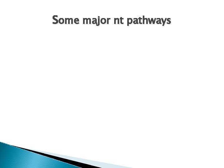 Some major nt pathways 