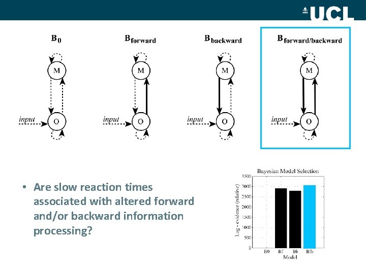  • Are slow reaction times associated with altered forward and/or backward information processing?
