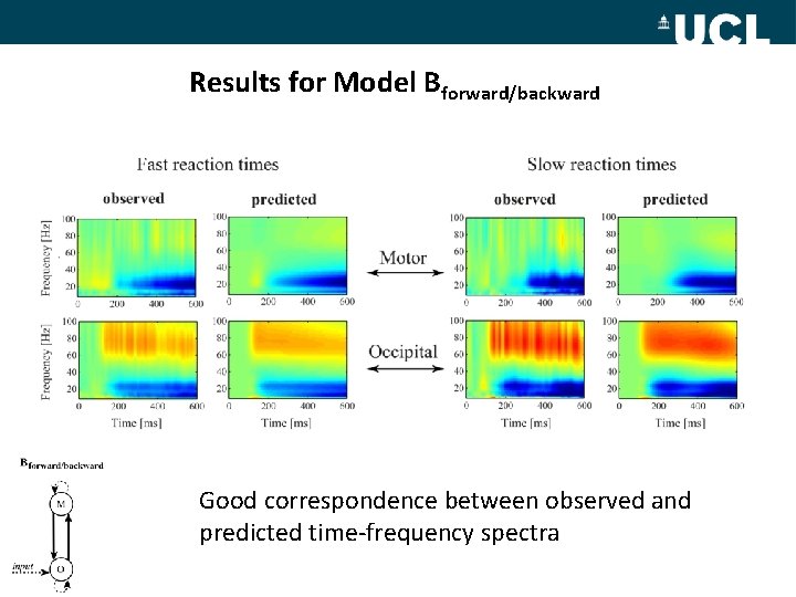 Results for Model Bforward/backward Good correspondence between observed and predicted time-frequency spectra 