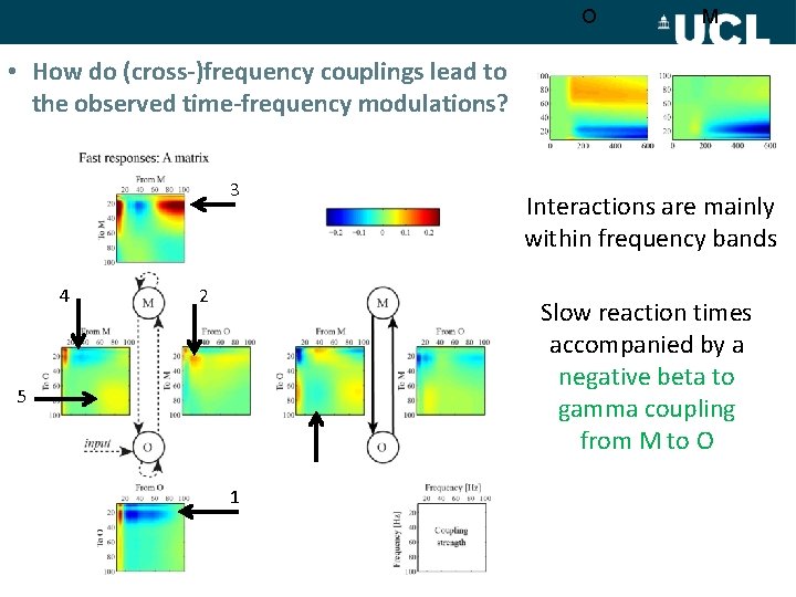 O M • How do (cross-)frequency couplings lead to the observed time-frequency modulations? 3