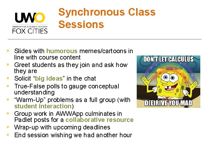 Synchronous Class Sessions § Slides with humorous memes/cartoons in line with course content §