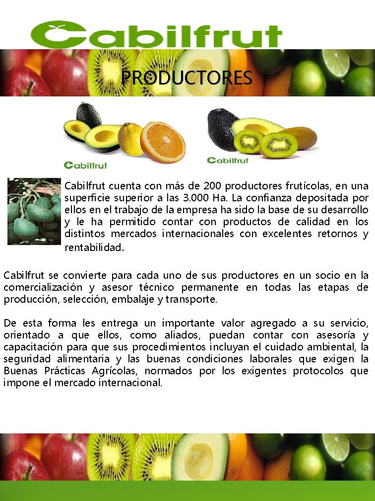 PRODUCTORES Cabilfrut cuenta con más de 200 productores frutícolas, en una superficie superior a