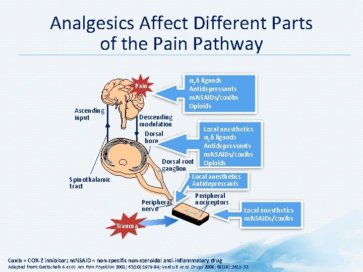 Analgesics Affect Different Parts of the Pain Pathway α 2δ ligands Antidepressants ns. NSAIDs/coxibs