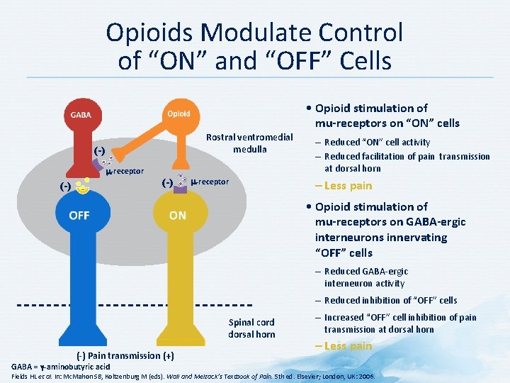 Opioids Modulate Control of “ON” and “OFF” Cells • Opioid stimulation of mu-receptors on
