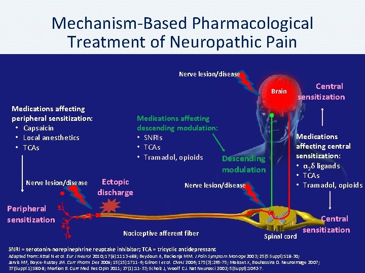 Mechanism-Based Pharmacological Treatment of Neuropathic Pain Nerve lesion/disease Central sensitization Brain Medications affecting peripheral