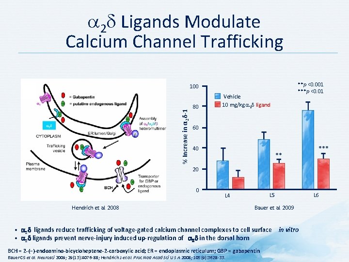  2 Ligands Modulate Calcium Channel Trafficking **p <0. 001 ***p <0. 01 %