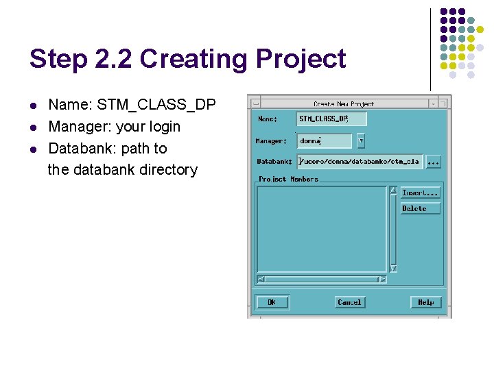 Step 2. 2 Creating Project l l l Name: STM_CLASS_DP Manager: your login Databank: Step 2. 2 Creating Project l l l Name: STM_CLASS_DP Manager: your login Databank: