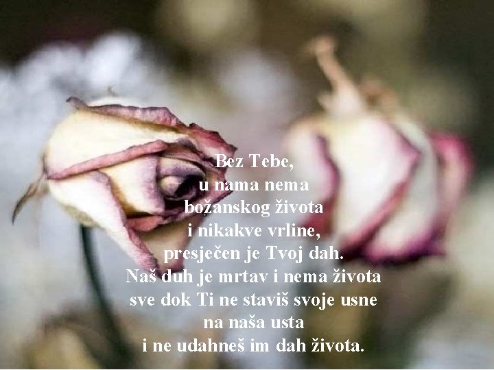 Bez Tebe, u nama nema božanskog života i nikakve vrline, presječen je Tvoj dah.