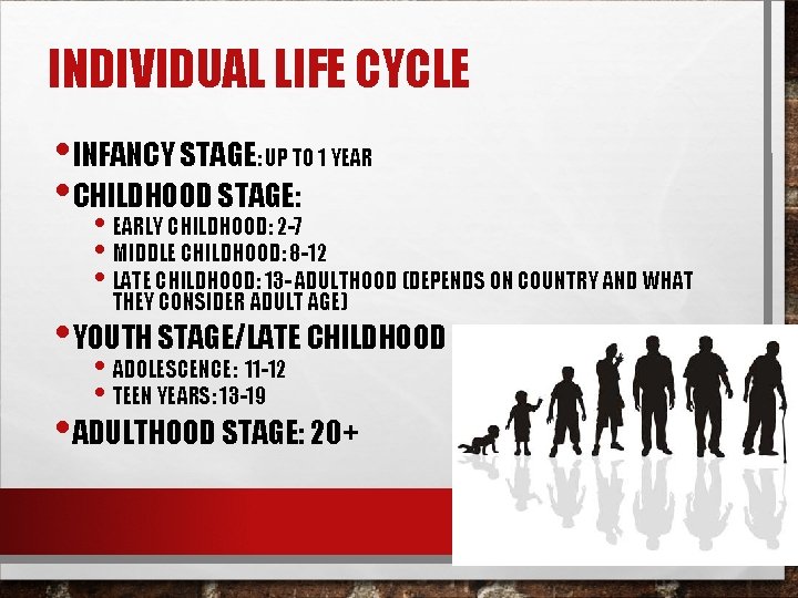 INDIVIDUAL LIFE CYCLE • INFANCY STAGE: UP TO 1 YEAR • CHILDHOOD STAGE: •