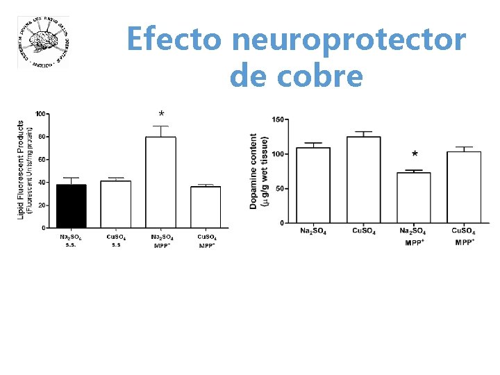 Efecto neuroprotector de cobre 