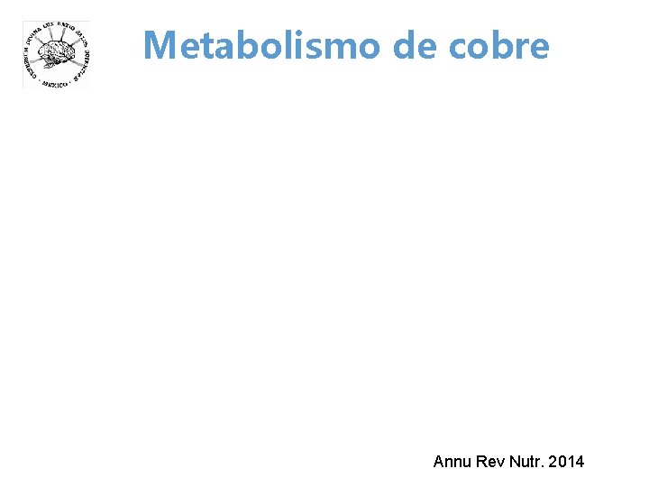 Metabolismo de cobre Annu Rev Nutr. 2014 