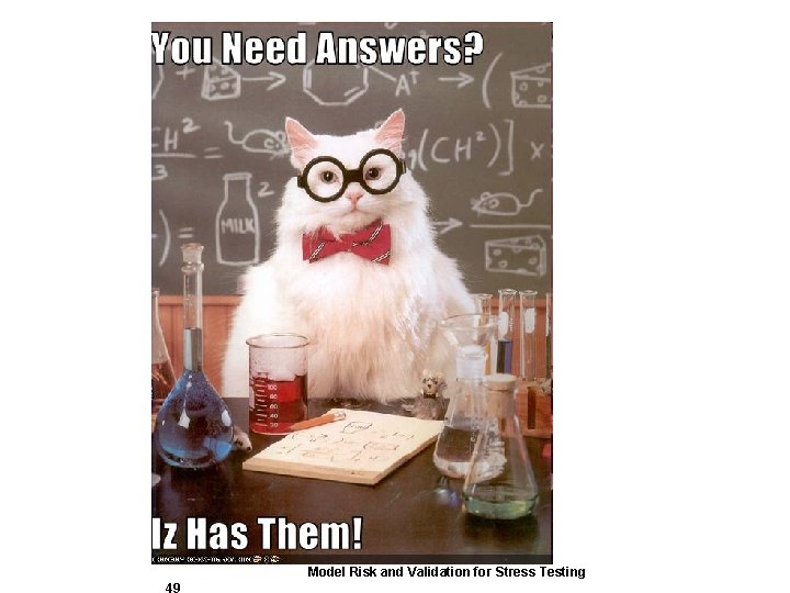 Model Risk and Validation for Stress Testing 49 Model Risk and Validation for Stress Testing 49