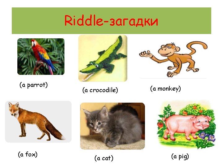 Riddle-загадки (a parrot) (a fox) (a crocodile) (a cat) (a monkey) (a pig) 