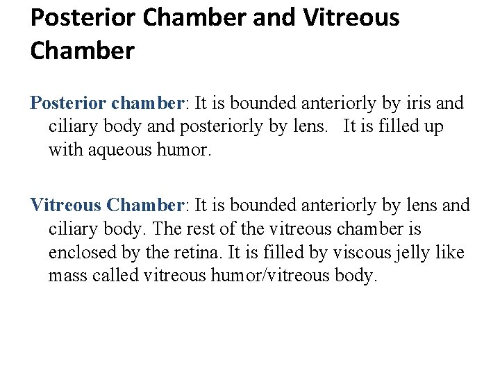 Posterior Chamber and Vitreous Chamber Posterior chamber: It is bounded anteriorly by iris and