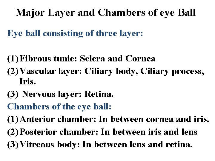 Major Layer and Chambers of eye Ball Eye ball consisting of three layer: (1)