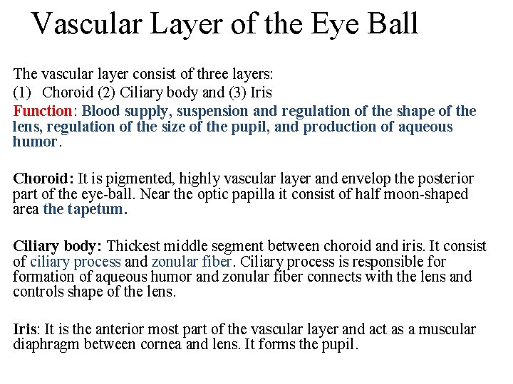 Vascular Layer of the Eye Ball The vascular layer consist of three layers: (1)