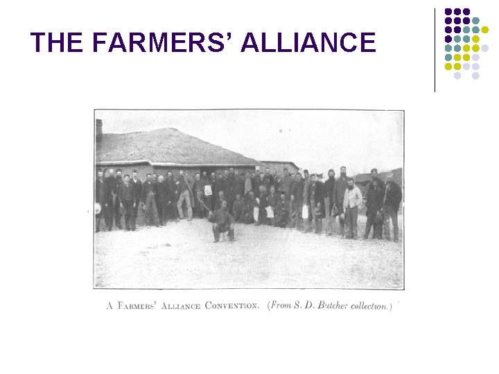 THE FARMERS’ ALLIANCE 
