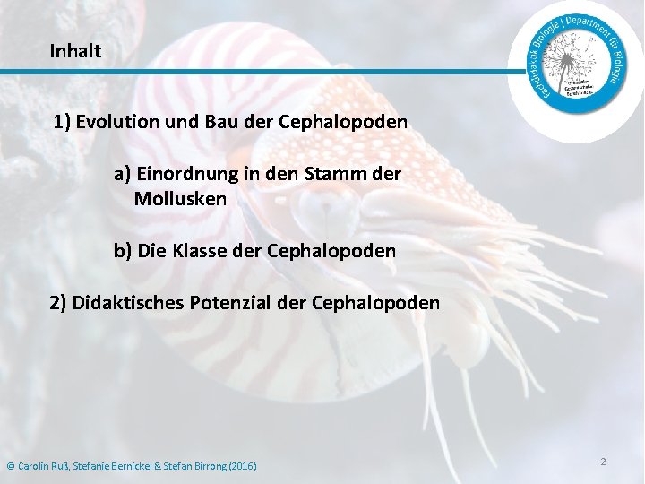 Inhalt 1) Evolution und Bau der Cephalopoden a) Einordnung in den Stamm der Mollusken