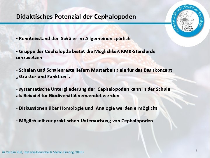 Didaktisches Potenzial der Cephalopoden - Kenntnisstand der Schüler im Allgemeinen spärlich - Gruppe der