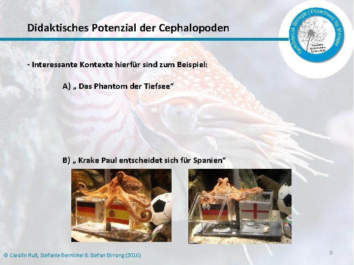 Didaktisches Potenzial der Cephalopoden - Interessante Kontexte hierfür sind zum Beispiel: A) „ Das