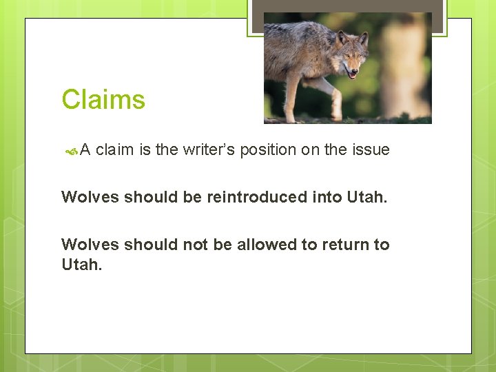 Claims A claim is the writer’s position on the issue Wolves should be reintroduced