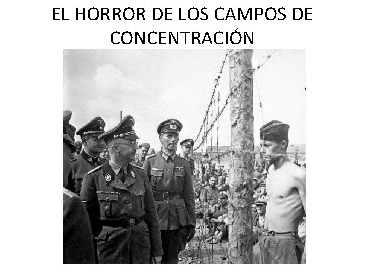 EL HORROR DE LOS CAMPOS DE CONCENTRACIÓN 