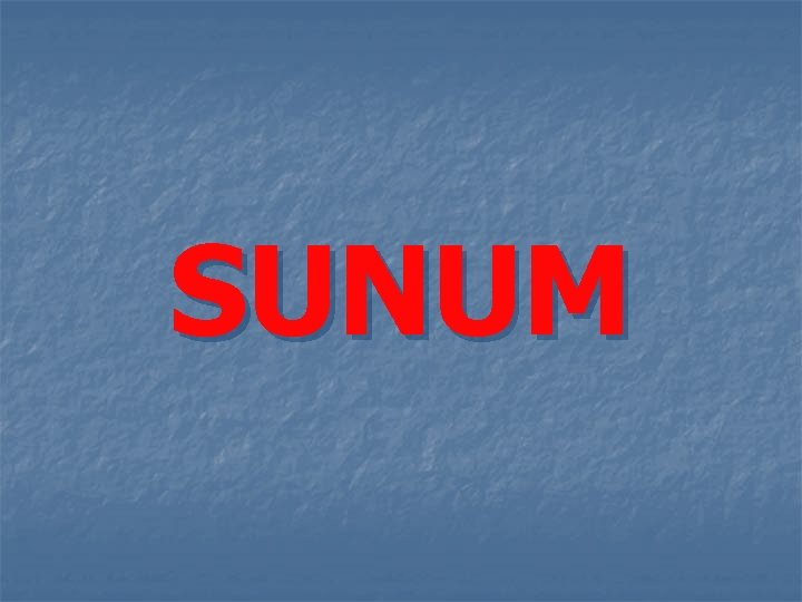 SUNUM 