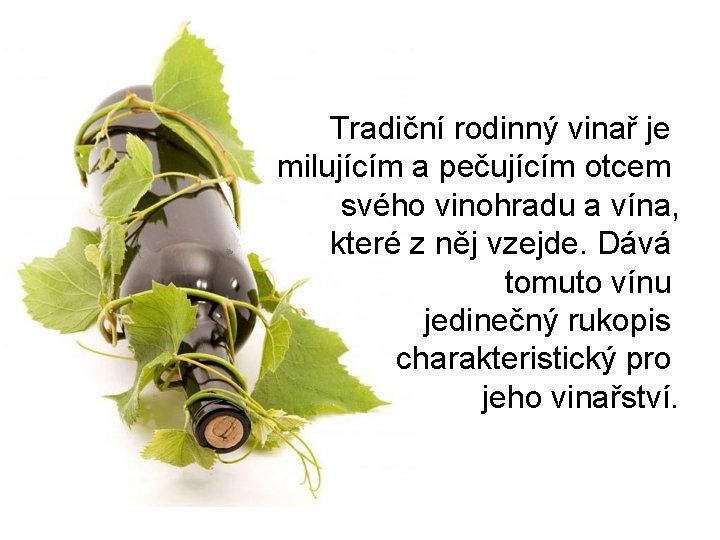 Tradiční rodinný vinař je milujícím a pečujícím otcem svého vinohradu a vína, které z