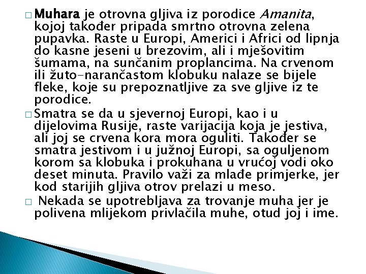 je otrovna gljiva iz porodice Amanita, kojoj također pripada smrtno otrovna zelena pupavka. Raste