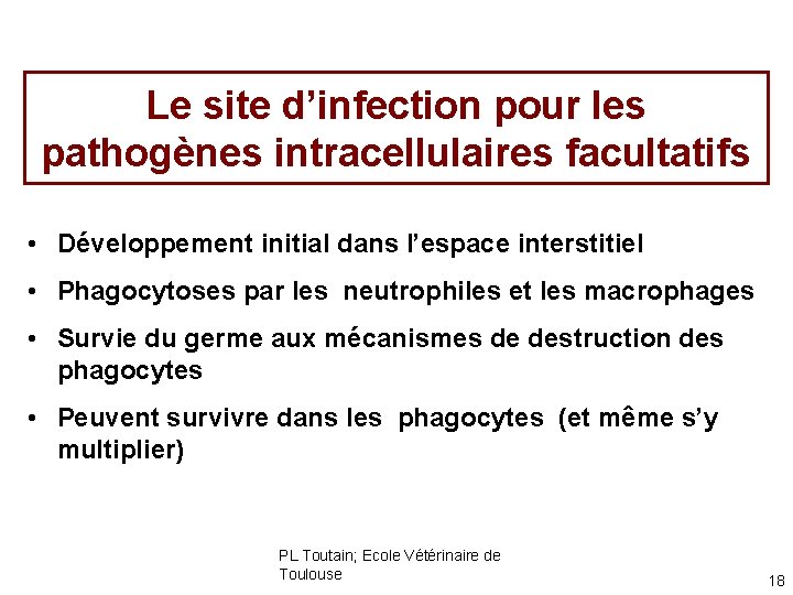 Le site d’infection pour les pathogènes intracellulaires facultatifs • Développement initial dans l’espace interstitiel