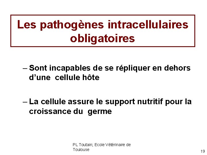Les pathogènes intracellulaires obligatoires – Sont incapables de se répliquer en dehors d’une cellule